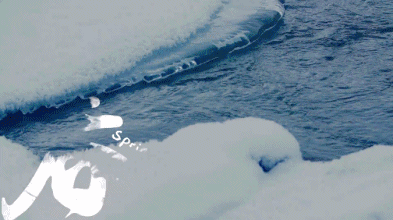 萨满舞|新藏靠边站!这个5w买房10w住别墅的小城,才是打工人的诗与远方