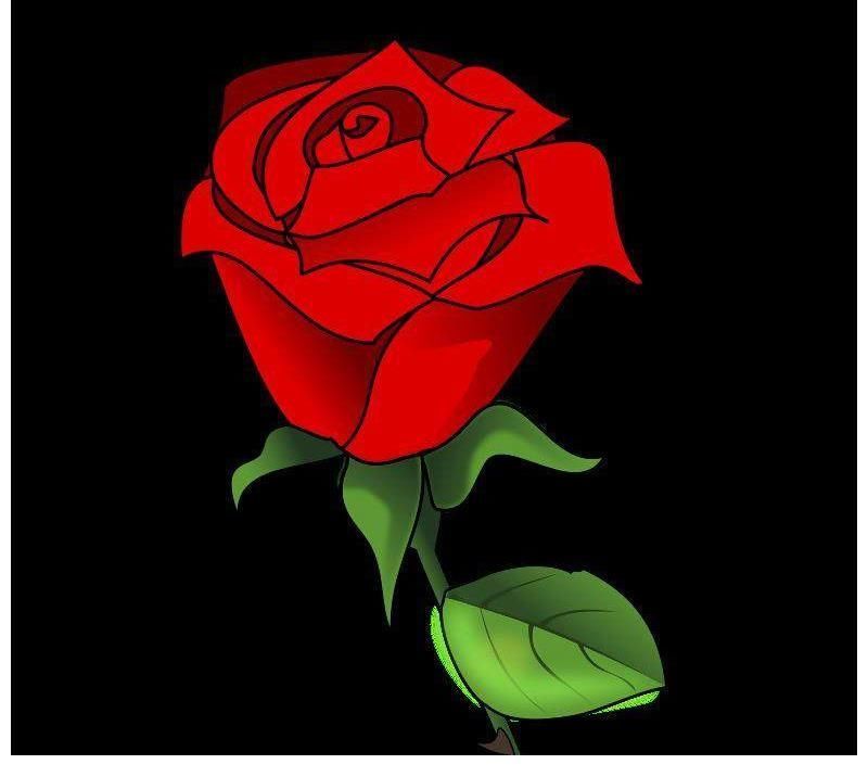 天宫|近期内,缘分和桃花任由指挥,真爱降临,收获一生幸福的四大生肖