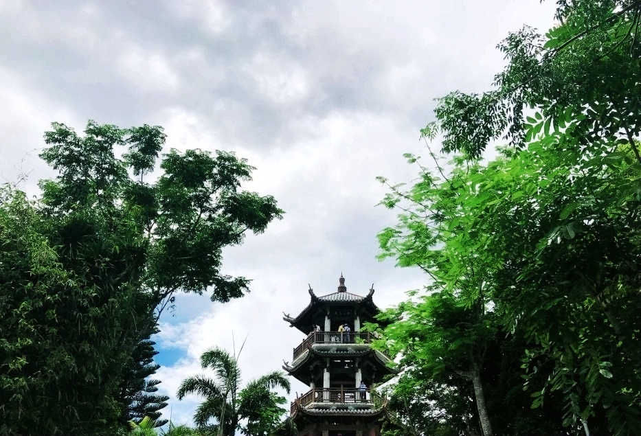 热带雨林|不一样的热带雨林，不一样的美丽风景——游亚龙湾热带天堂森林公园