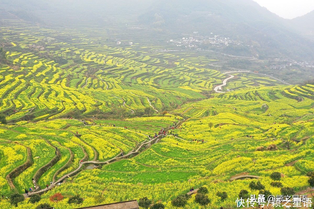 千年梯田花海，美得震撼，免费欣赏