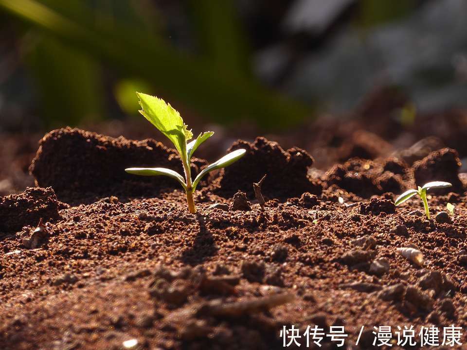 立春|立春不养生,开春找医生?做好这3“忌”,往后的每一天都是健康