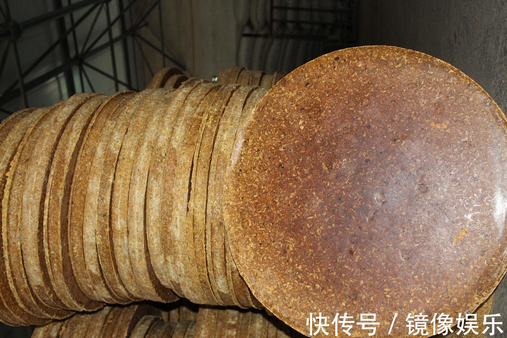 晚秋钓鲫鱼,别再用酒米打窝了,这几种窝料效果比酒米好太多了