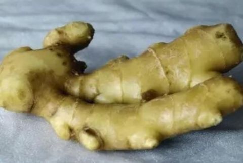生姜放久了会干瘪教你几招，不管放多久，都是新鲜的！