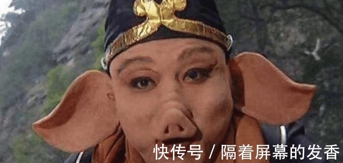 鱼精|难怪观音选了石猴、猪妖、鱼精护送唐僧,你瞧这四人合起来是啥?