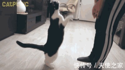 语言|【天使锦囊】培养儿童社交超全训练指南,建议收藏!