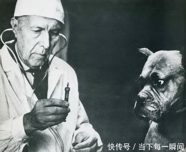 忍俊不禁|18张让人忍俊不禁的老照片