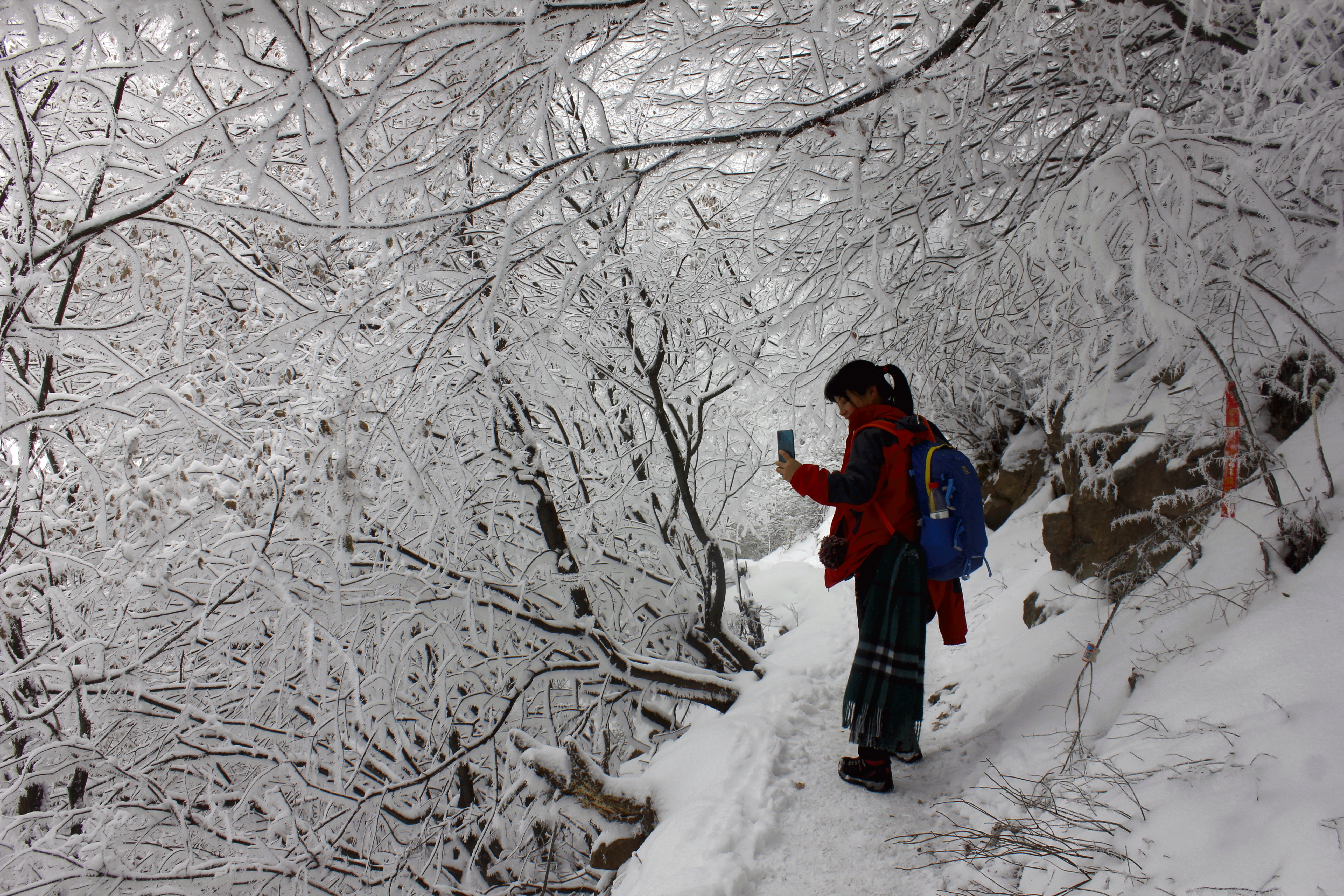 征集|【年末福利征集】雪后南五台幸遇云海