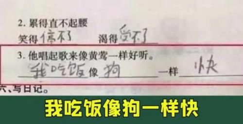 “蝙蝠身上插鸡毛，算什么鸟”小学生写歇后语火了，老师哭笑不得