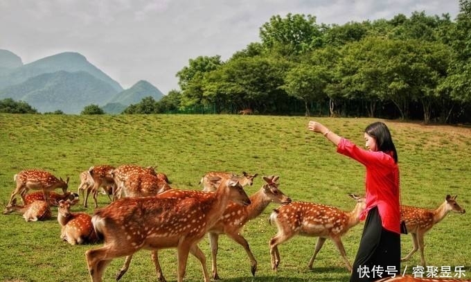  美丽|秋光乍泄 美景成诗 秋日的神农架 一定会惊艳到你