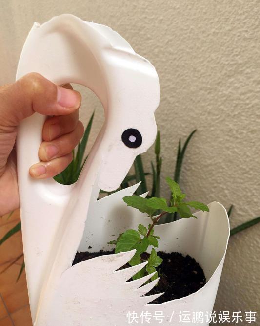 攒6个塑洗衣液壶,剪掉一半给孩子当书架,邻居都说要回家跟着学