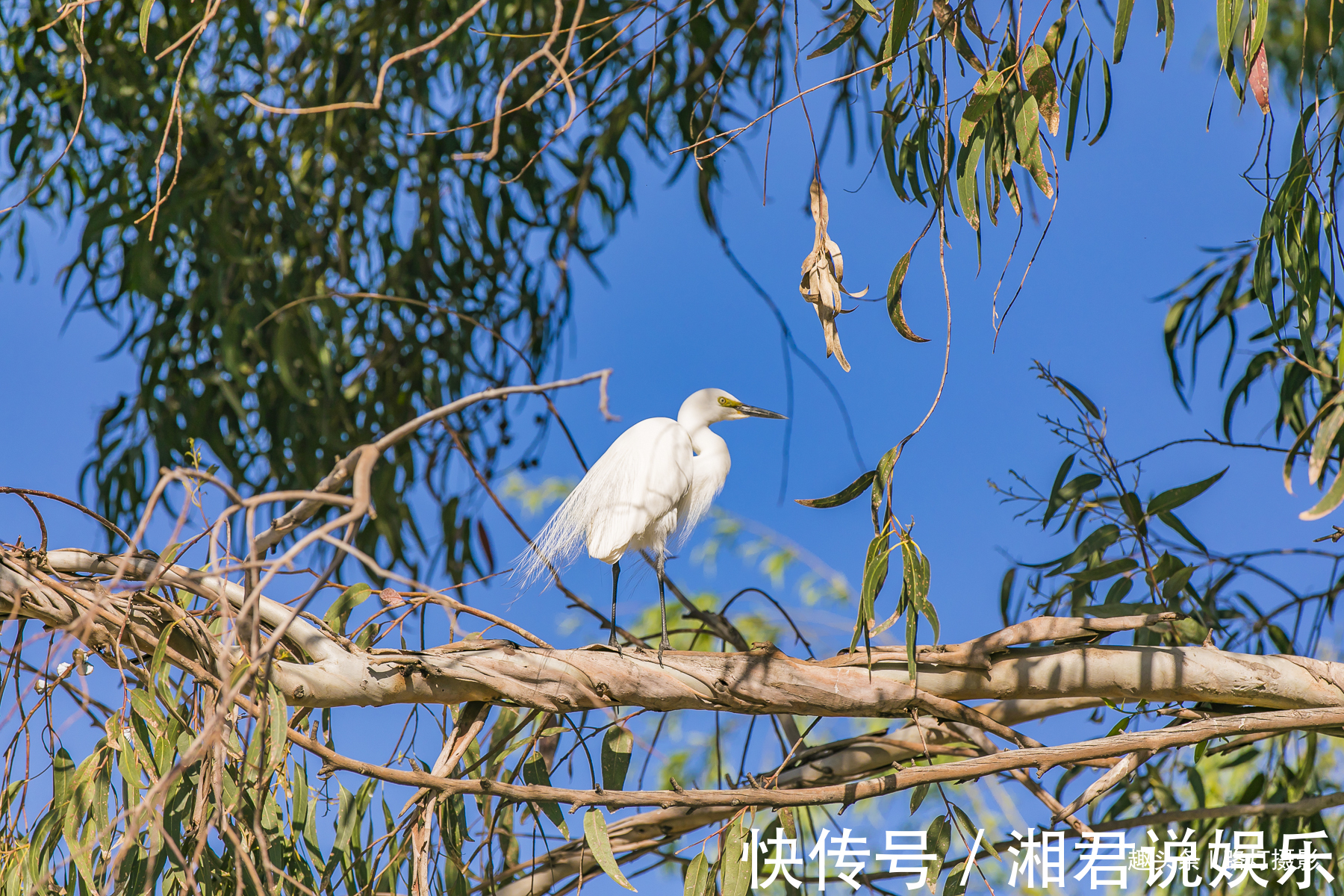 城市|中国最适合隐居的城市，依山傍水风光旖旎，主要物价还超低