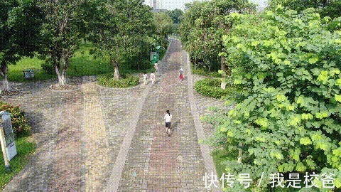 coolm为舒适而生，天越Coolmax抗菌轻弹跑鞋，跑出健康来！