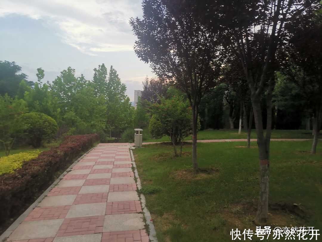 人物形象|如何把人物写活，写真实