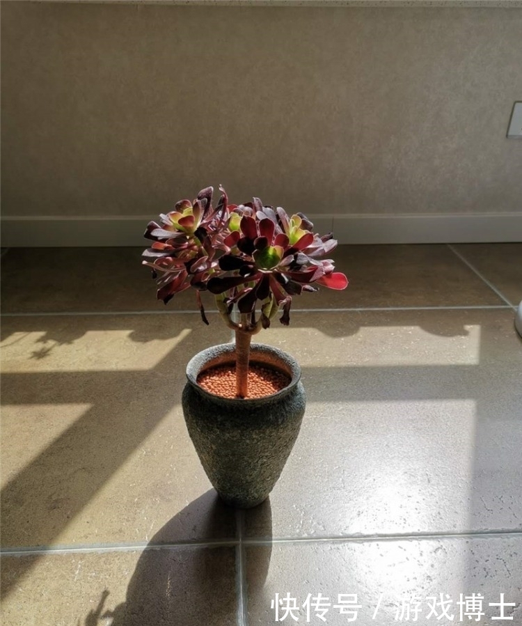 一肉一世界,一方一净土