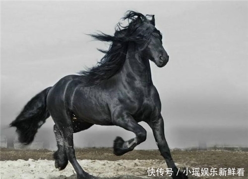 92岁老人无子女,自己花26万建“活人墓”,在墓中设置重重机关!