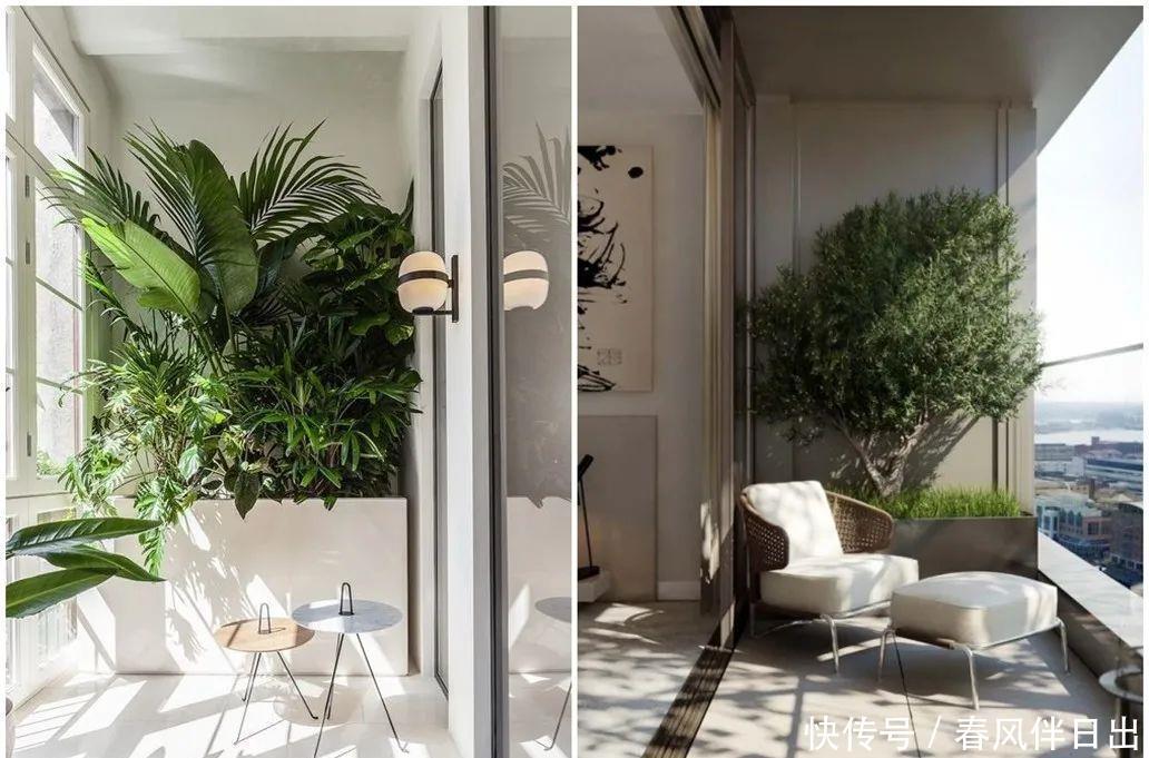 过上悠哉的小日子,不一定非要院子,有个阳台,一样可以养花种菜