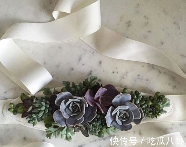 耳环 不是所有首饰都是珠宝的,多肉做成首饰,颜值完全秒杀大牌首饰!