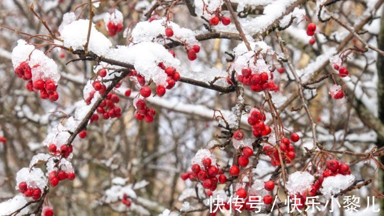 强大|很少弱点，实则强大的星座，有些时候，他们明明看破，却不会说破