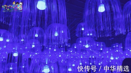 到底发生了什么,让范丞丞直呼 “温州铁定溜溜太可怕了”?!