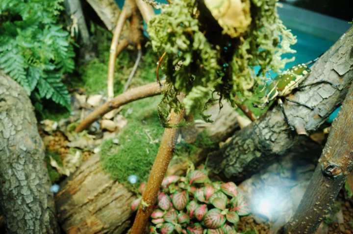 昆虫嘉年华|中秋收下这份欢乐秘笈 来钱唐农园玩转亲子昆虫嘉年华