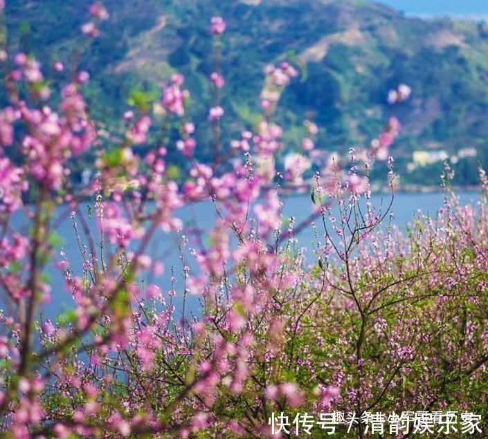 马生|越老越值钱的四生肖，晚年能够坐享财富，子女后代非常孝顺！