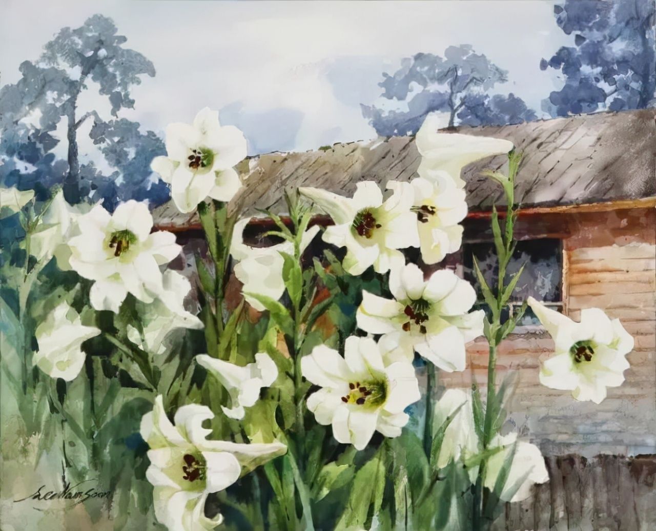 水彩&水彩画欣赏：澳大利亚水彩画家30张水彩花卉，动人