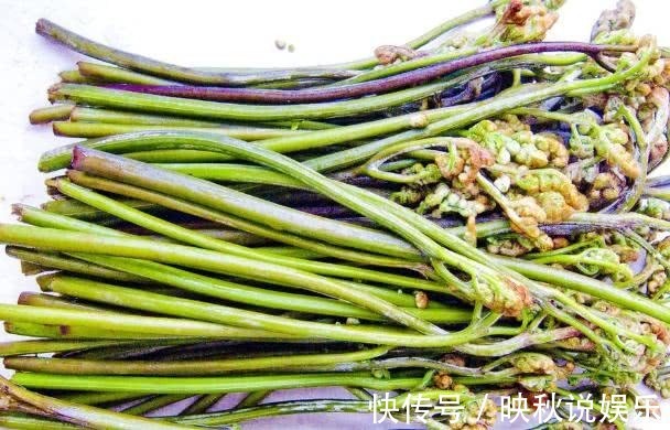 小病|85岁爷爷下地干活,大病小病不来找,原来常吃4种菜