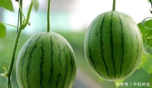 熬夜|农村人都不上火,因为他们知道有些水果一吃就好,你知道是哪些吗