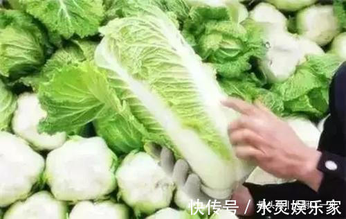 买白菜时，选黄叶的好还是绿叶的很多人一直买错了，难怪不好吃