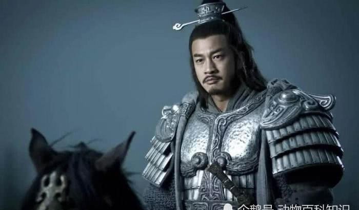 和刘邦|要是韩信听项羽的，占领齐国之后中立，天下会三足鼎立吗