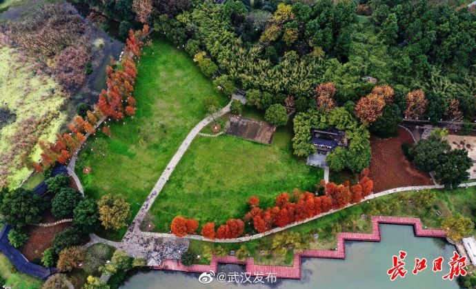  大雪|大雪节气，“秋色”缤纷