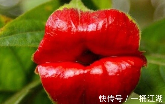 快来亲吻我、热情的吻、甜蜜的吻,深情的拥抱甜蜜的热吻