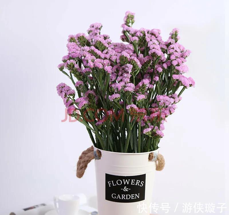 花语是至死不渝的爱的3种花，个个都很美，而且还容易养