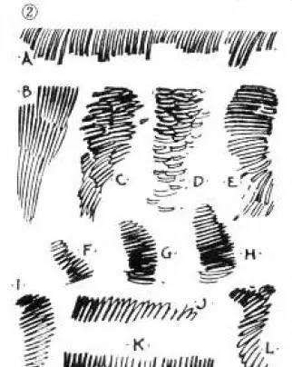 方法|画画必看的排线方法和技巧!