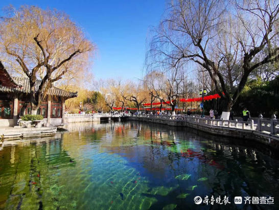 美图|情报站｜“犇”向春天！济南趵突泉的气质蓝上线，碧空如洗美翻了