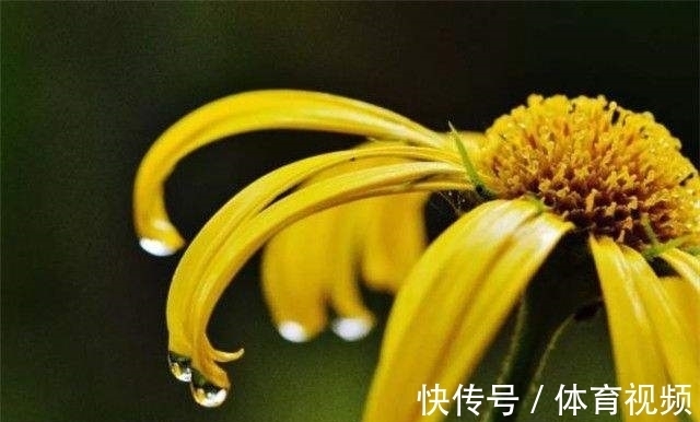 李贺&10大“狂”诗词排行榜,李白《侠客行》仅第三,前两名分别是谁?