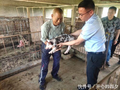 巴克夏花猪在湖北沙洋县安 新家 快资讯