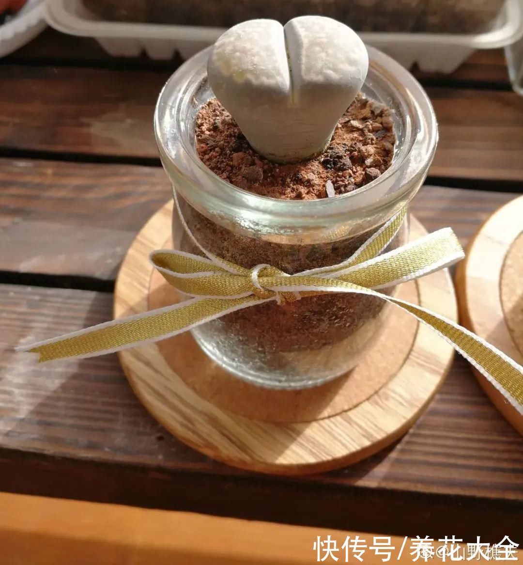 旧筷子、老干妈瓶别扔,拿来养花效果好,省下一笔养花钱