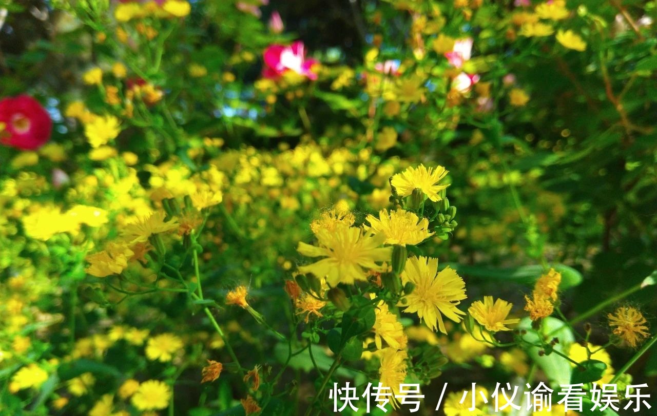 吴西逸|好暖心的30个诗句，句句精致入心，让人相见恨晚