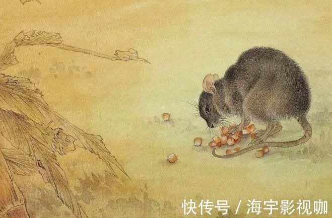 农历|几月出生的生肖鼠，胆小如鼠，却有挥金如土的好命，富着过一生
