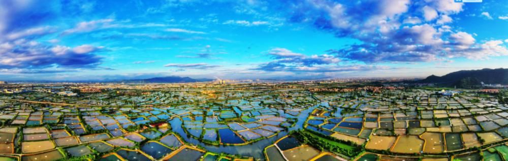  民乐社区|读书叻，武术精！揭秘南海百年古村，探寻岭南之旅！