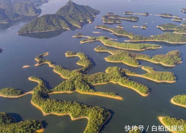 生活|我国两座天差地别的蛇岛，一个无人问津，另一个却为旅游胜地