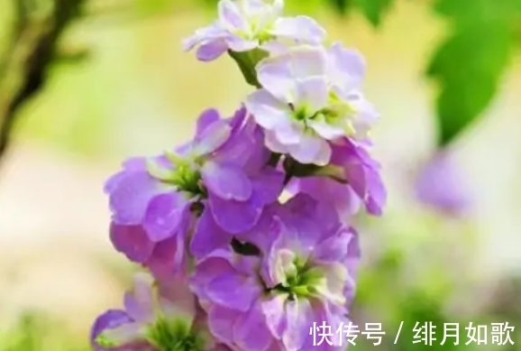 9月11日农历是多少 9月11日农历是多少