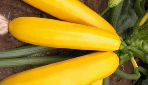 女性不想老太快，推薦幾種食物，排毒美容，滋養肌膚，好處多多