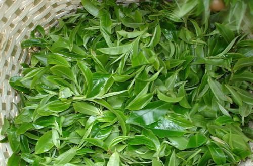 山楂|得了高血脂别担心！5种食物可有效降血脂，让血管干净如新！