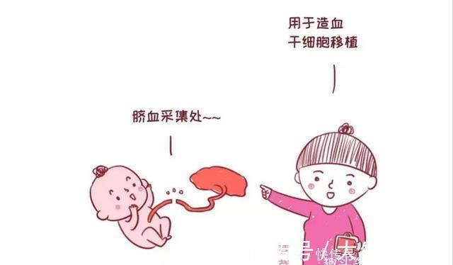 移植|花几万块给娃存的“脐带血”，关键时刻真的能救命吗？