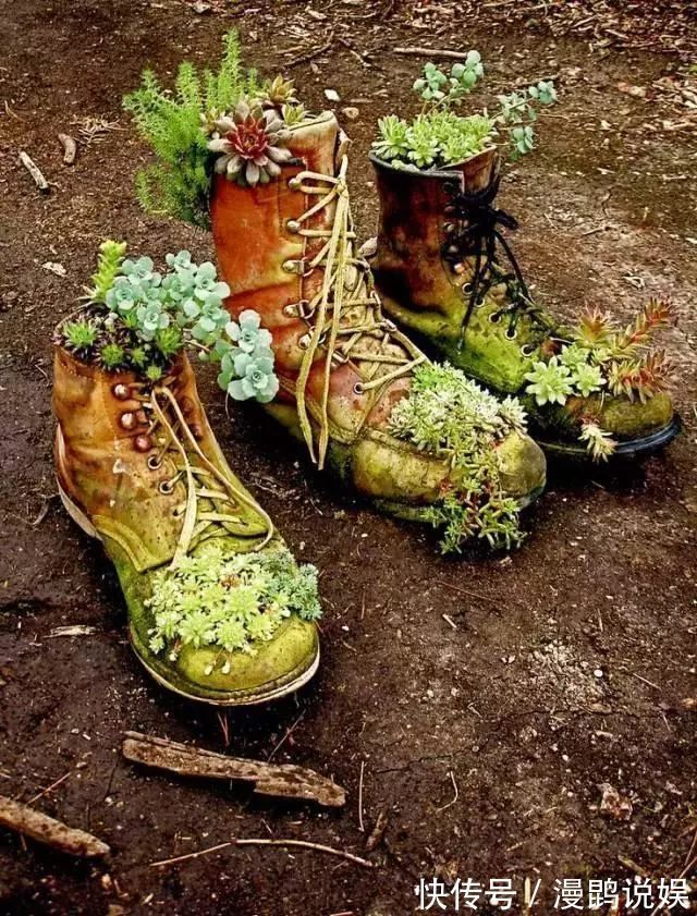 小花|别再花钱买普通花盆了,你意想不到的种花神器!