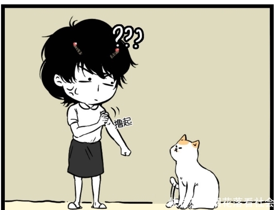 搞笑|搞笑漫画：撸猫的最高境界就是让所有猫都讨厌自己？