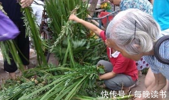 泡脚|农村人宝贝的“臭草”，过去用来洗澡泡脚，如今拿来做团子吃