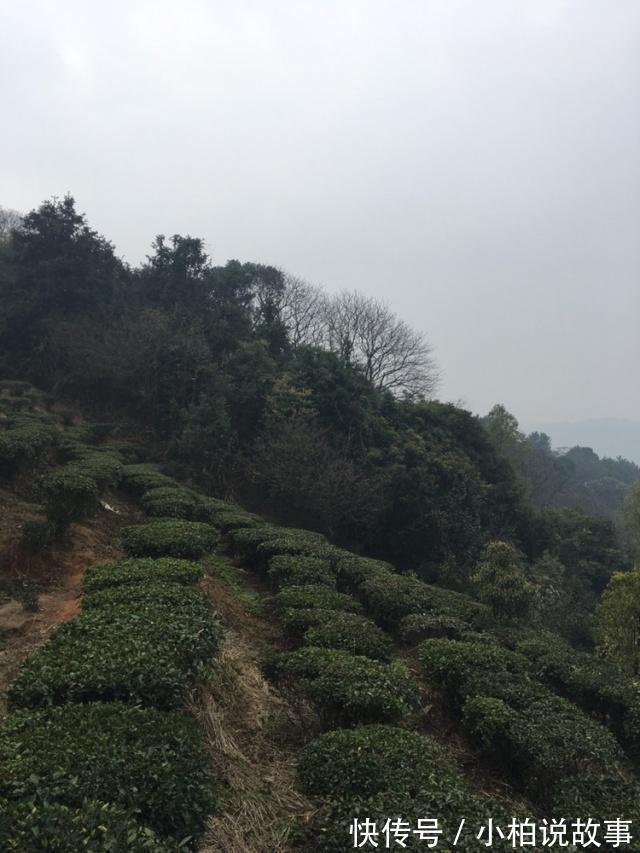 徐霞客|从前有座山，山里有座庙，庙里有个老和尚曾是帝王之身